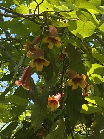 $199,000 | 79 Overlook Trail, Stewart, TN 37175