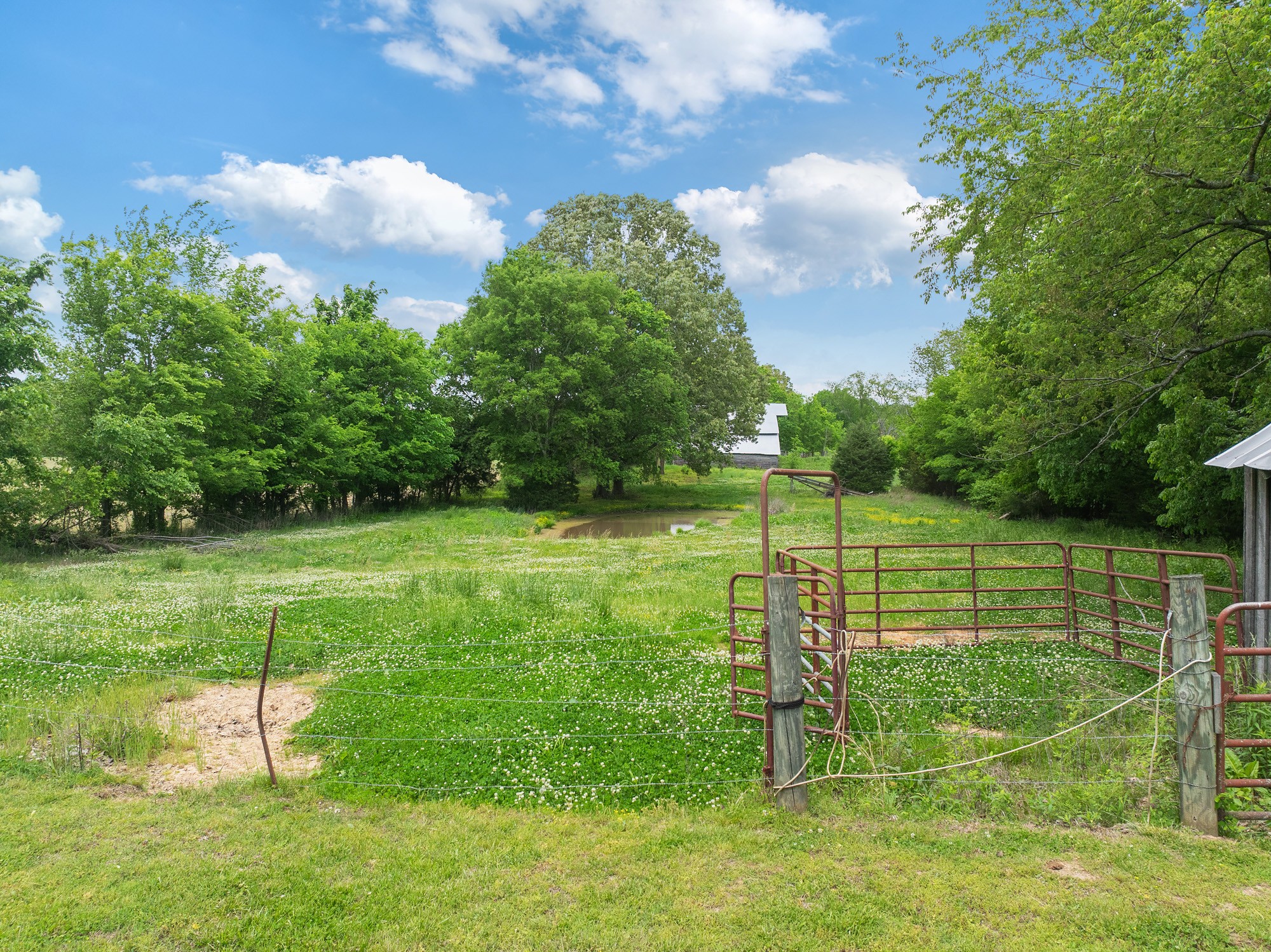 1565 Eli Brown Road Henry, TN 38231 - Photo 18 of 49