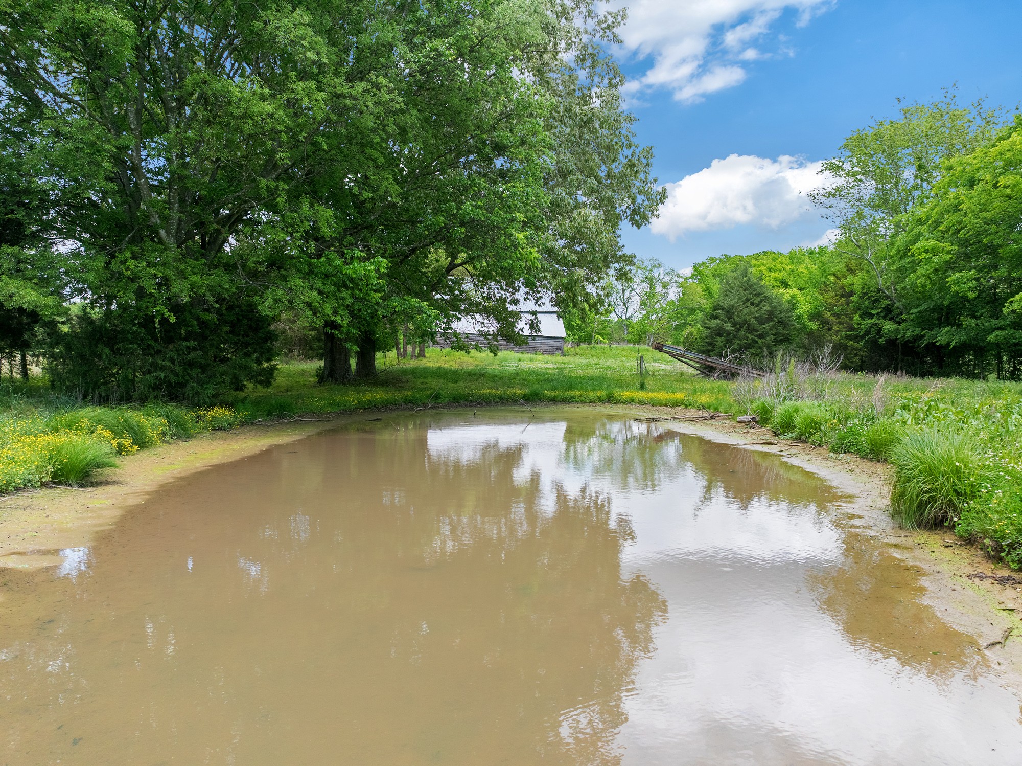 1565 Eli Brown Road Henry, TN 38231 - Photo 19 of 49