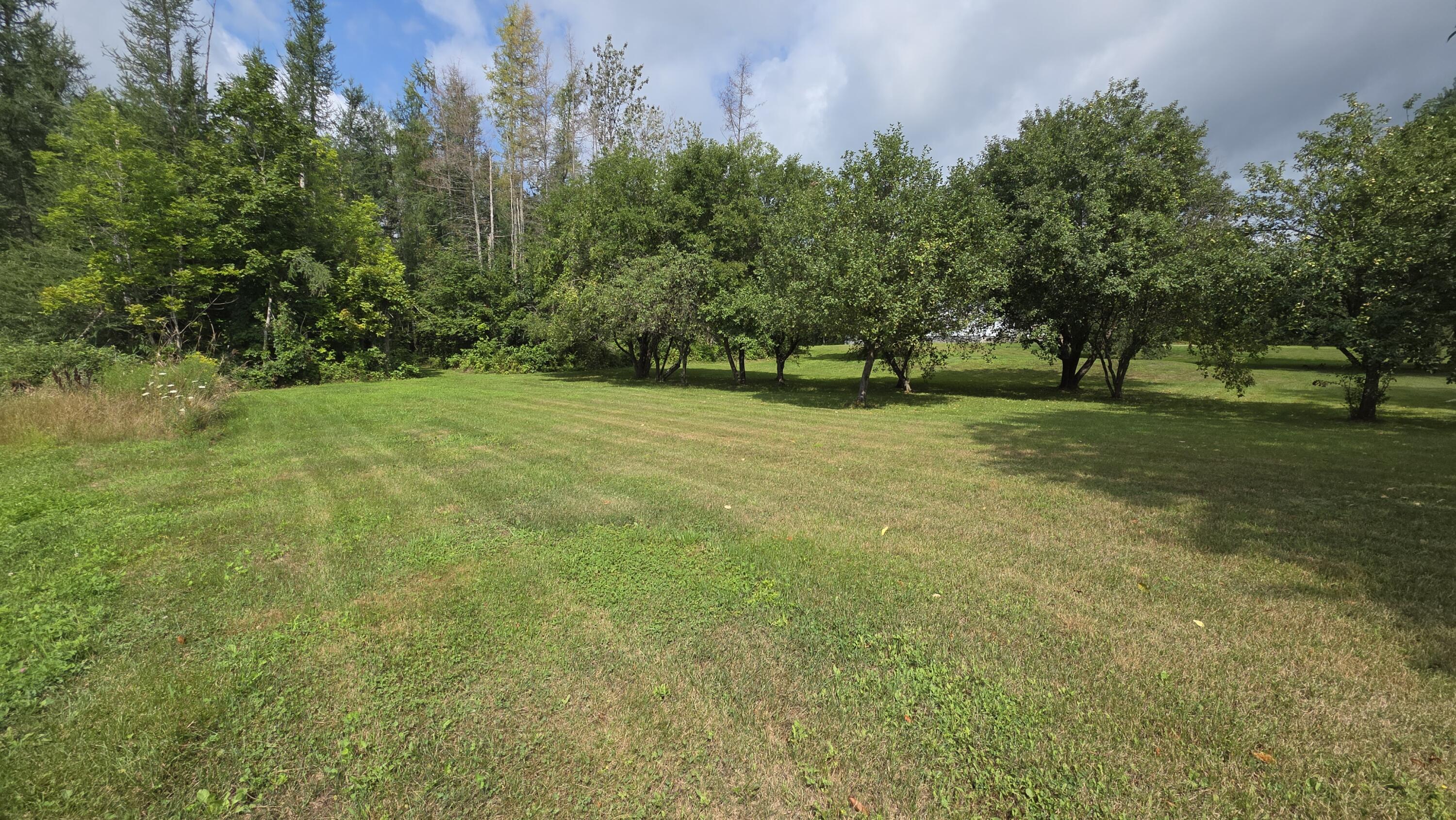 32 Beans Corner Road Pittsfield, ME 04967 - Photo 47 of 51 Orchard