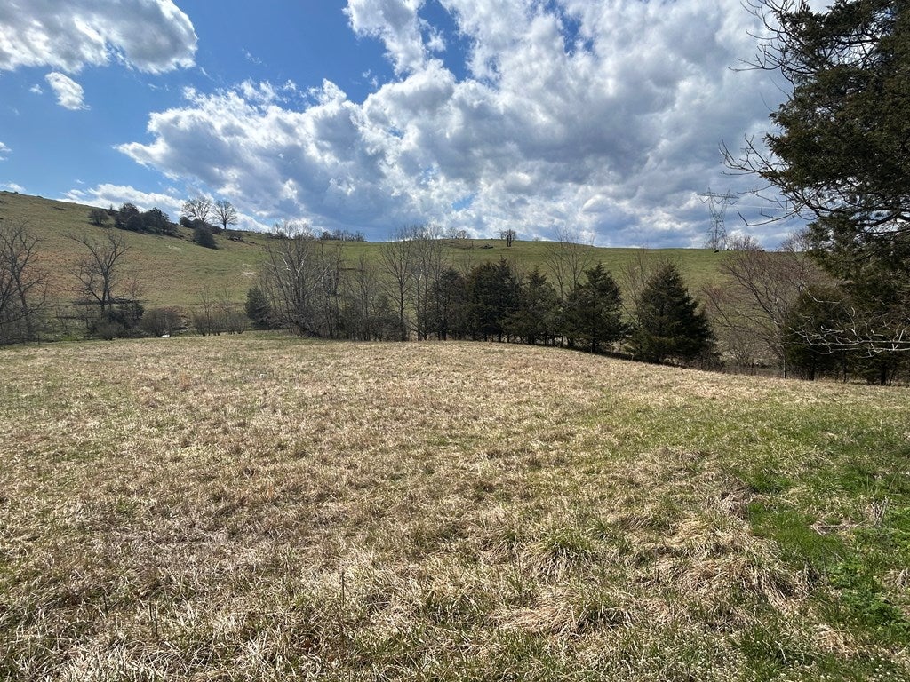 Tbd Cedar Creek Road, Unit 4 Meadowview, VA 24361 - Photo 4 of 9 Gallery Image 4