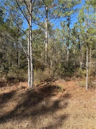 $17,500 | 69 Heritage Circle, Hortense, GA 31543