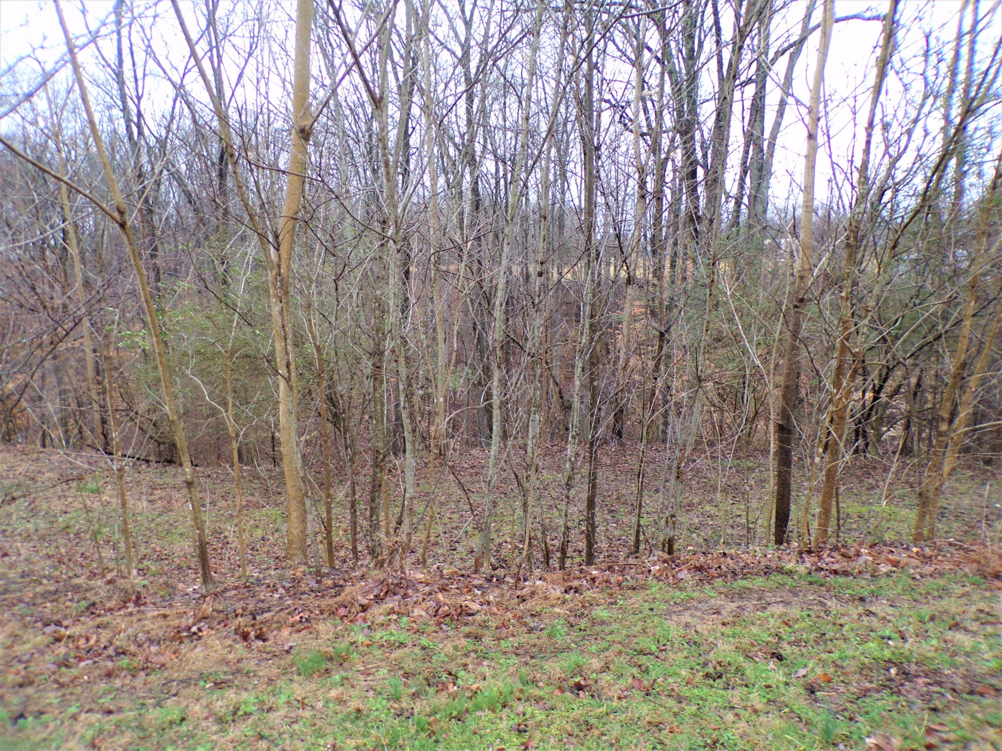 473 Ponder Road Smithville, TN 37166 - Photo 10 of 25 Gallery Image 10