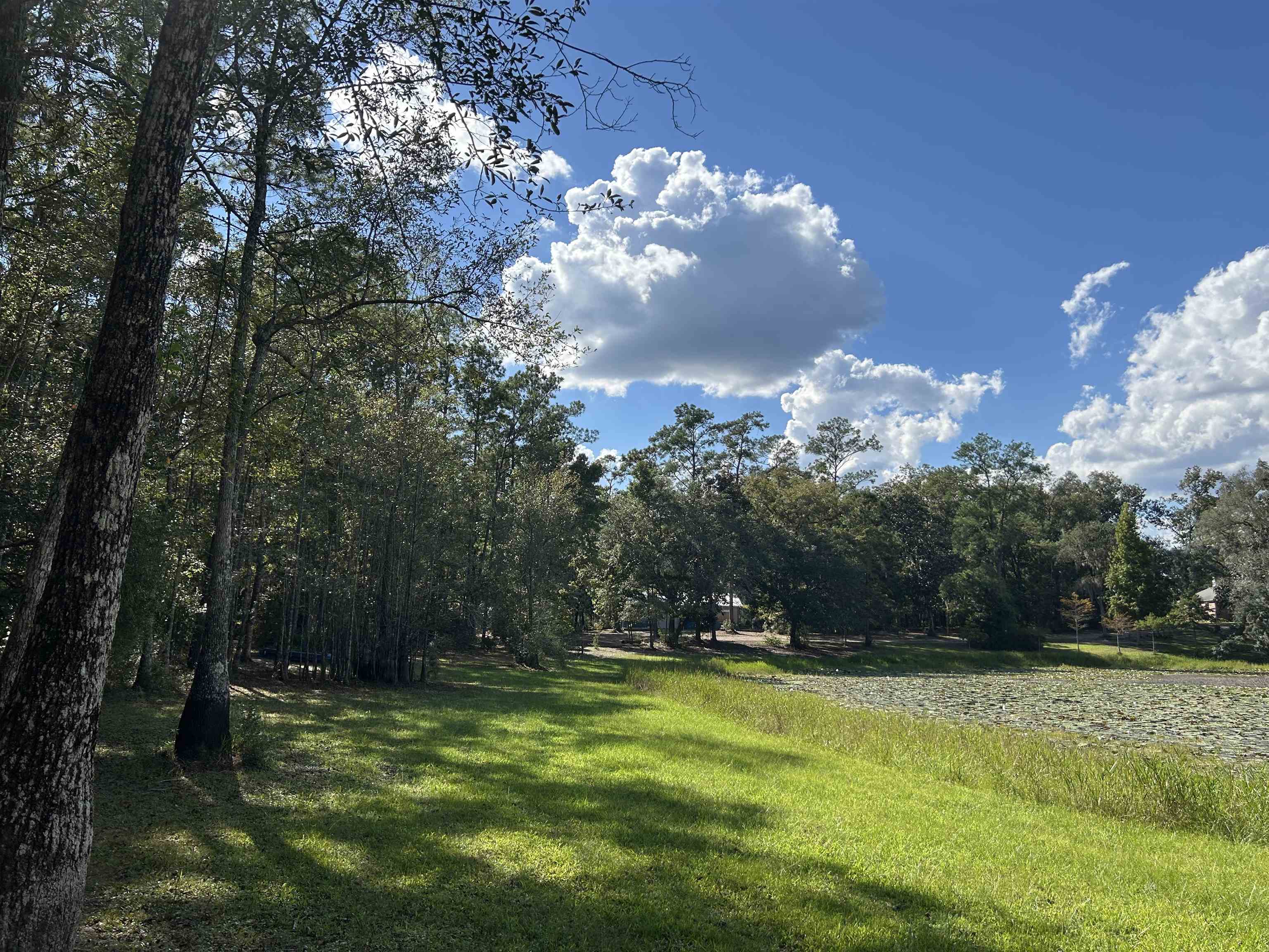 Tram Road Tallahassee, FL 32311 - Photo 1 of 29