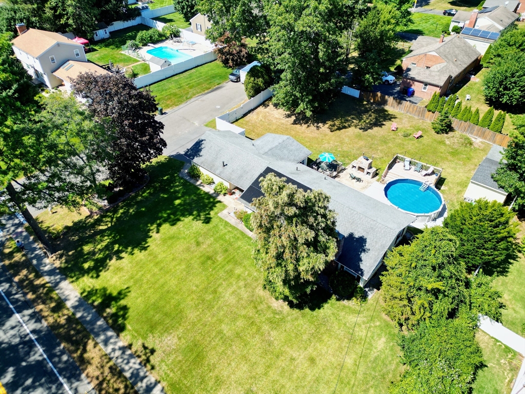 1070 Plumtree Road Springfield, MA 01119 - Photo 39 of 40 a view of a flower arrangement in a garden