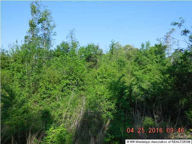 3 Doc Woody Road Coldwater, MS 38618 - Photo 1 of 2 Primary Photo
