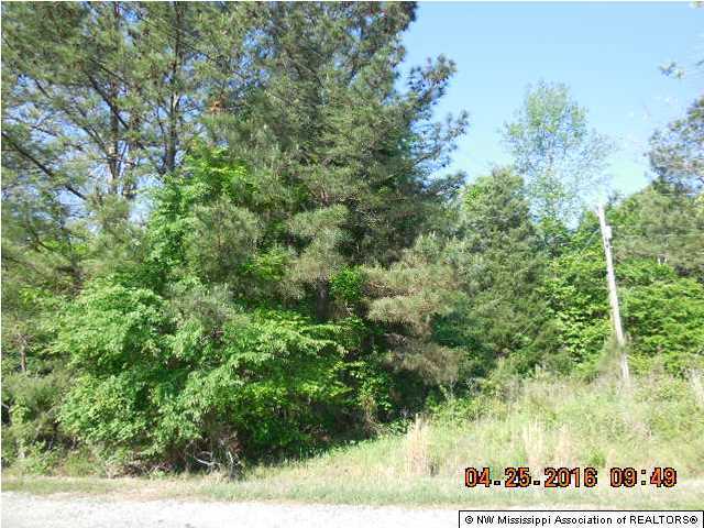 3 Doc Woody Road Coldwater, MS 38618 - Photo 2 of 2 Additional Photo