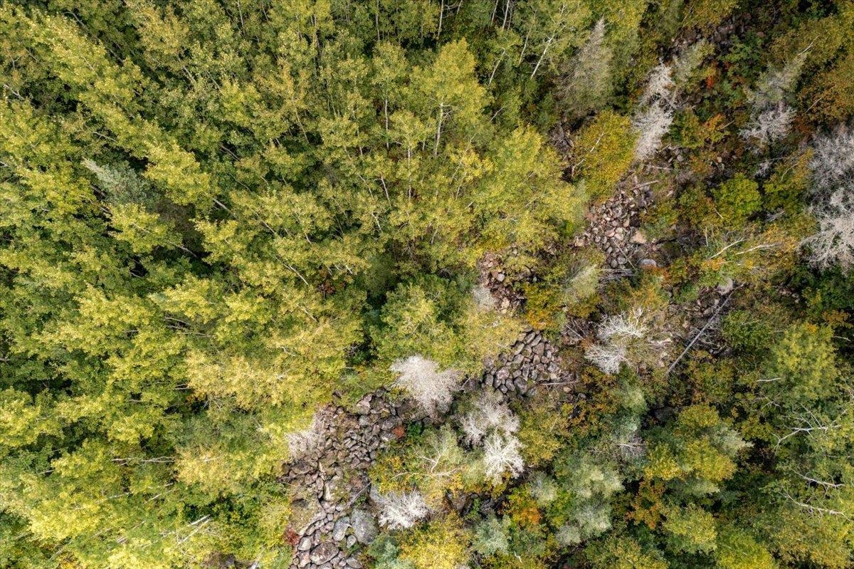 7513 Highway 2 Two Harbors Two Harbors, MN 55616 - Photo 10 of 21