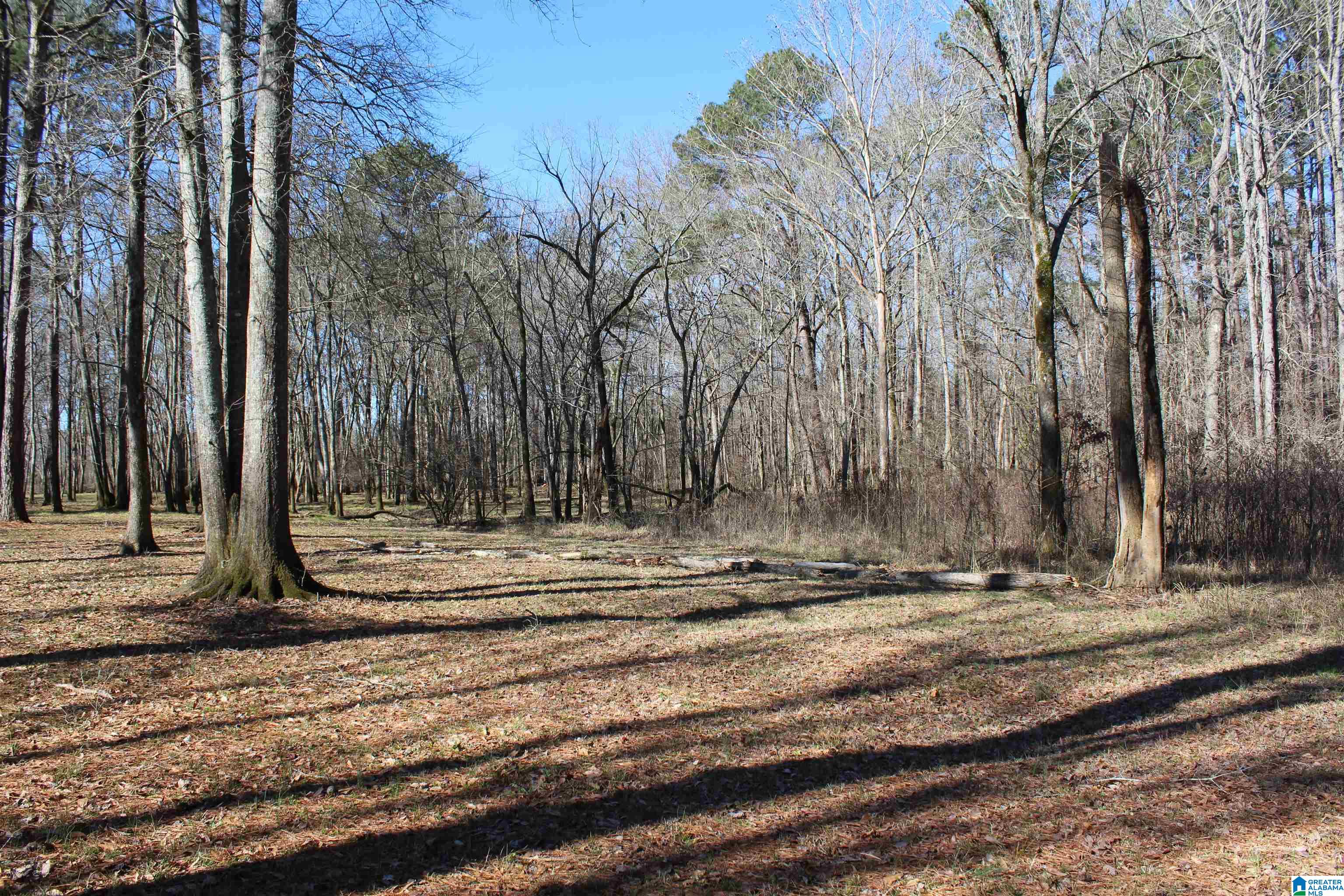 85 Brooks Road Ragland, AL 35131 - Photo 17 of 27