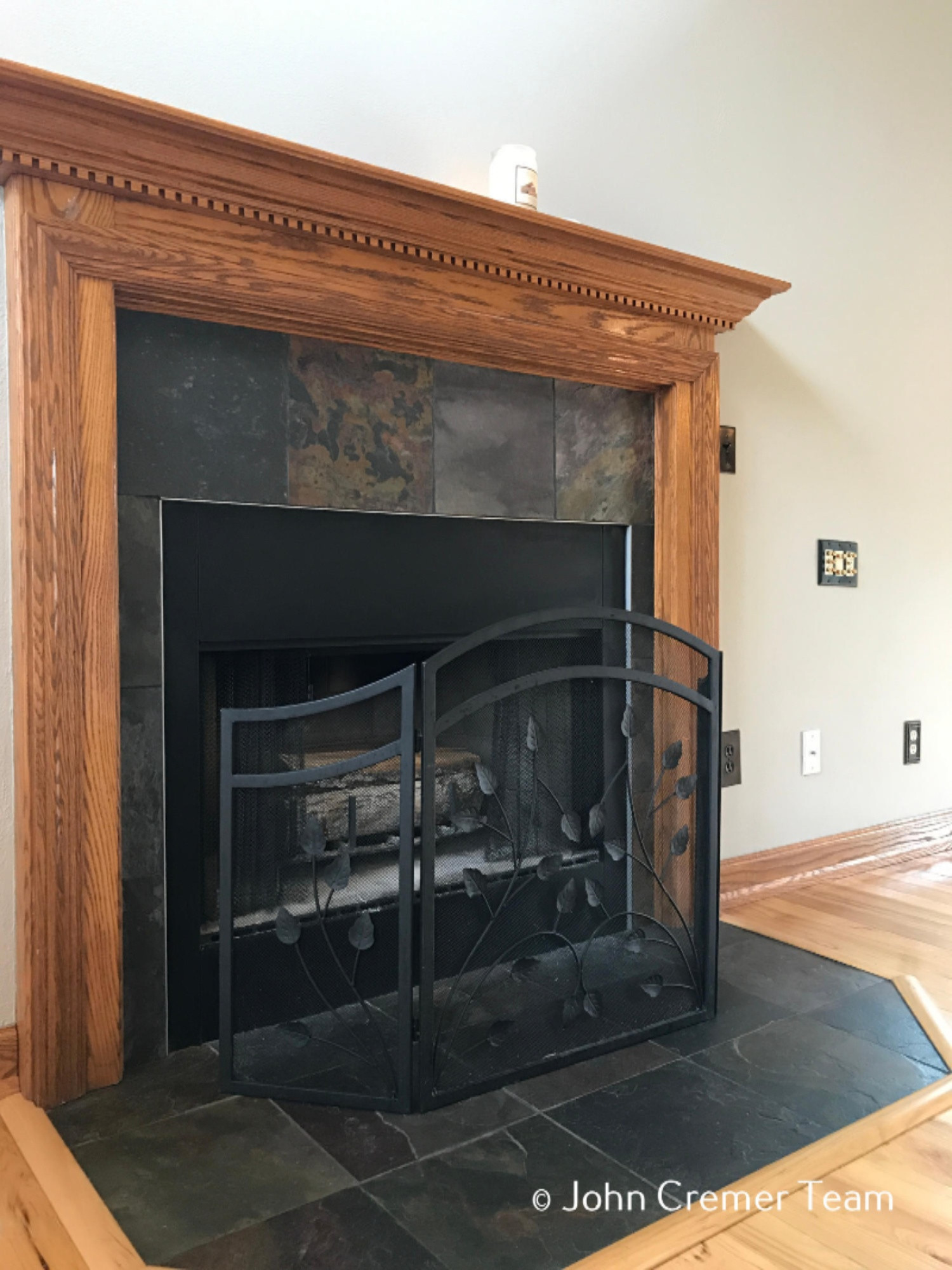 2950 McCann Road Middleville, MI 49333 - Photo 8 of 67 Wood burning Fireplace