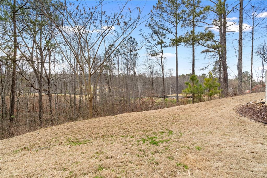 300 Winston Circle Canton, GA 30114 - Photo 47 of 56