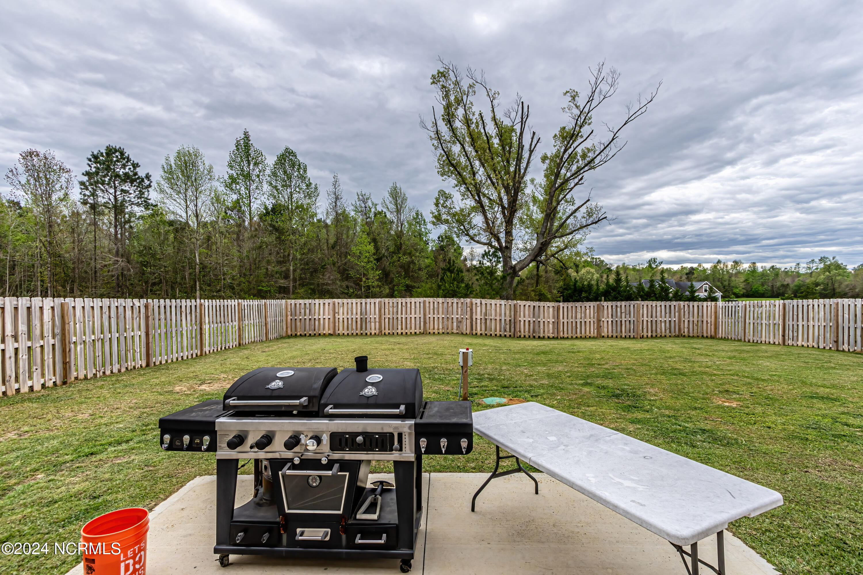 165 Hawks Point Road Jacksonville, NC 28540 - Photo 52 of 73 Backyard