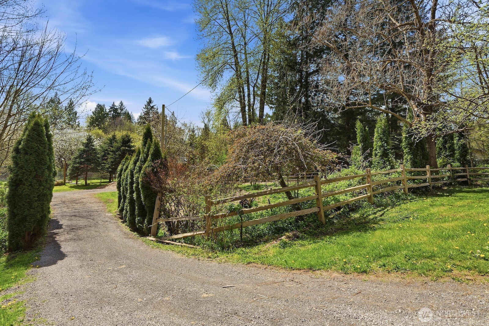 11617 Fay Road Northeast Carnation, WA 98014 - Photo 21 of 40 a view of a park with large trees