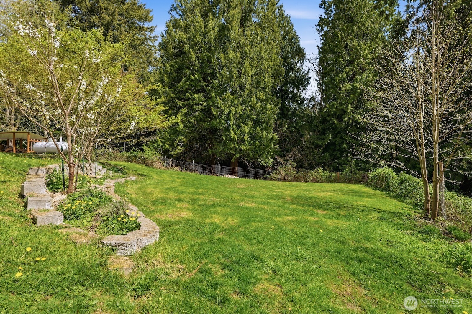 11617 Fay Road Northeast Carnation, WA 98014 - Photo 26 of 40 a view of yard with green space