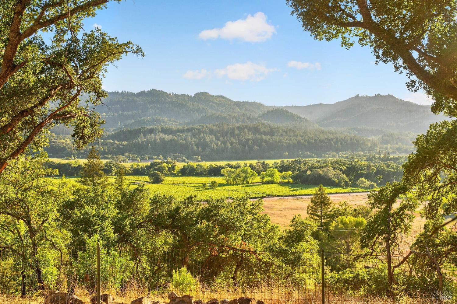318 Crystal Springs Road St. Helena, CA 94574 - Photo 4 of 24 Gallery Image 4
