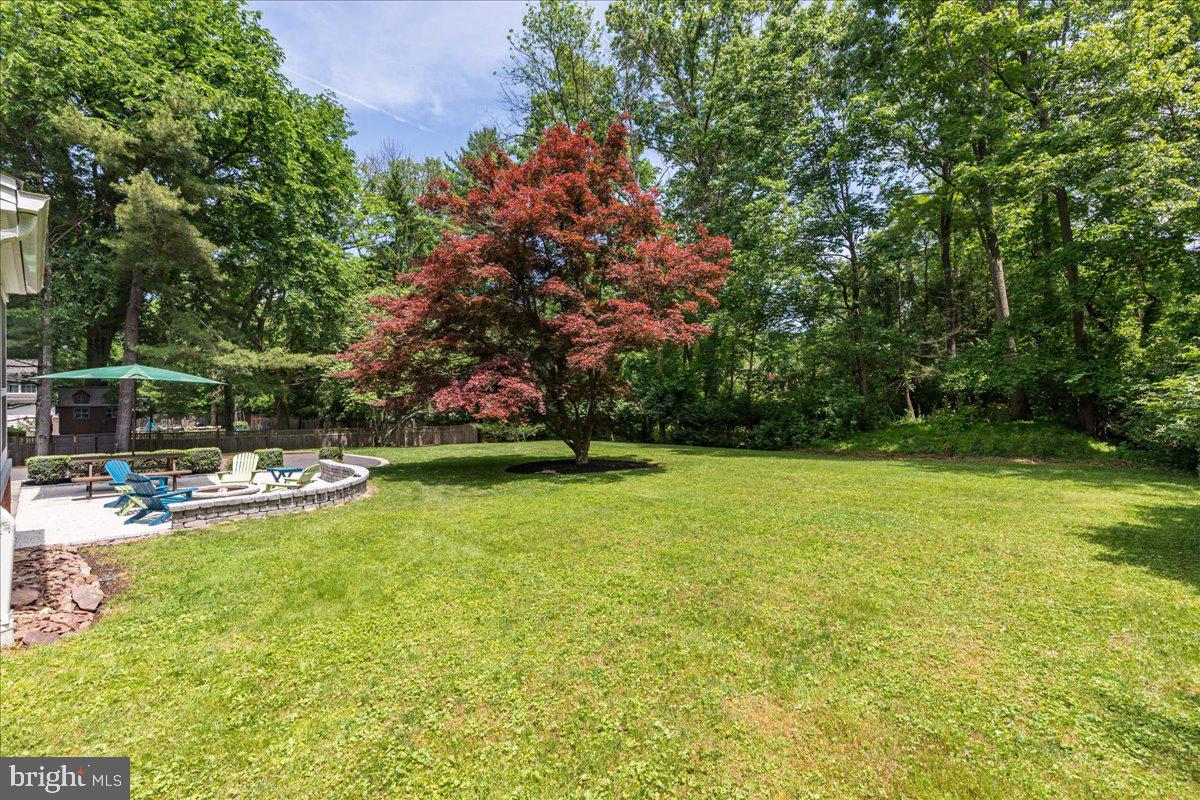 291 Elm Road Princeton, NJ 08540 - Photo 33 of 37 Rear Yard