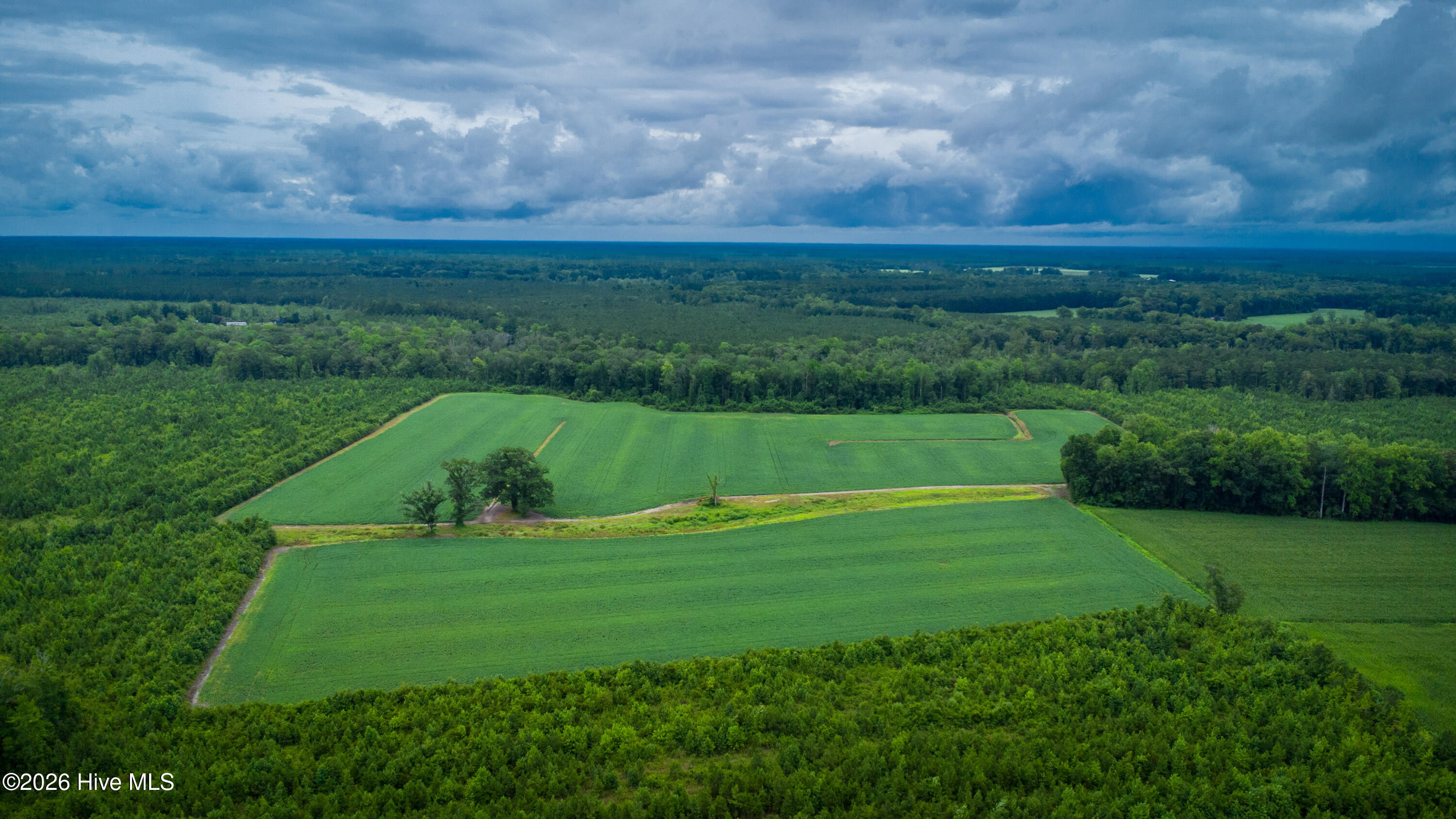 1601 Hill Neck Road Ernul, NC 28527 - Photo 16 of 33 Over 230 Acres of Opportunity