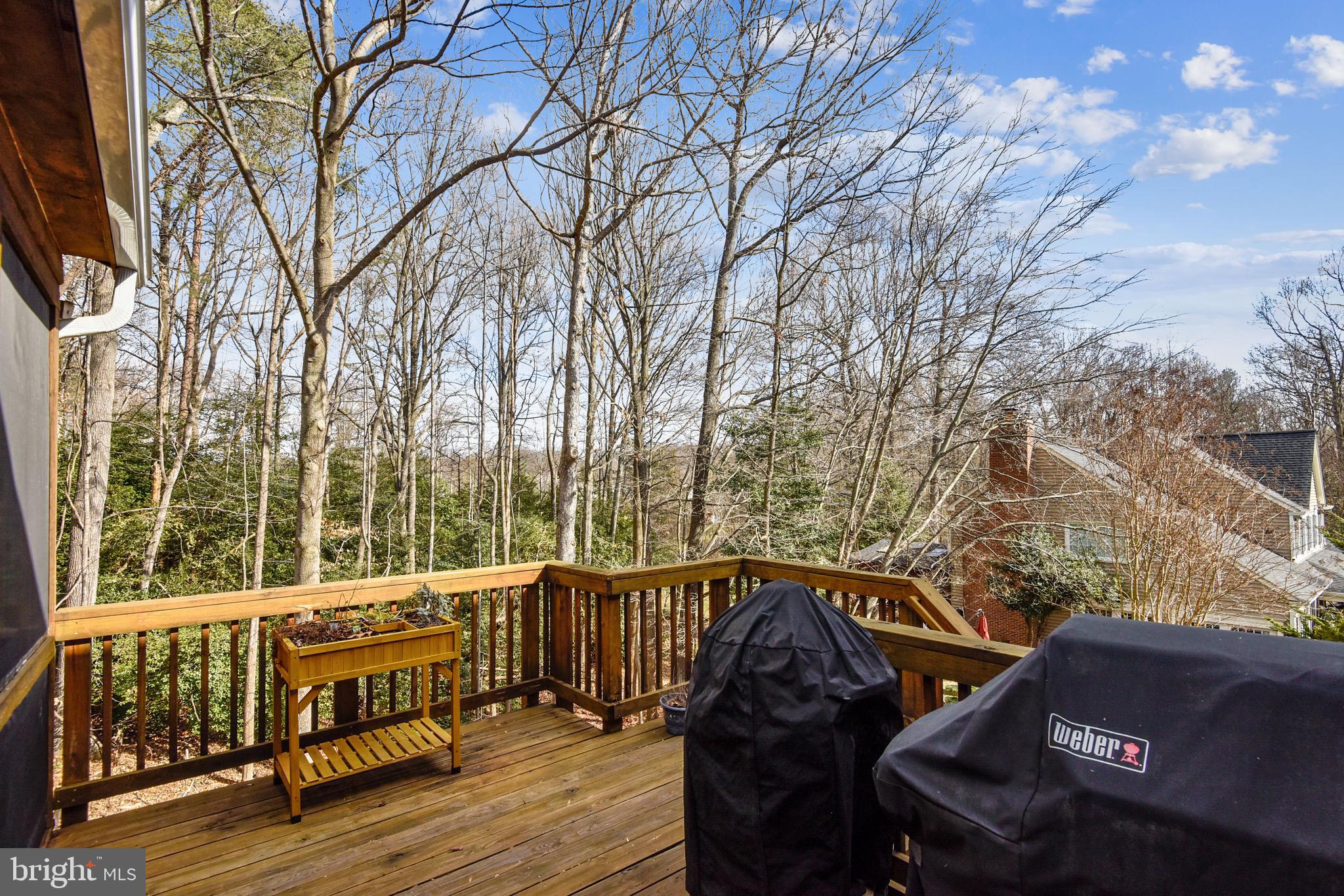11924 Fawn Ridge Lane Reston, VA 20194 - Photo 54 of 58 Gallery Image 54