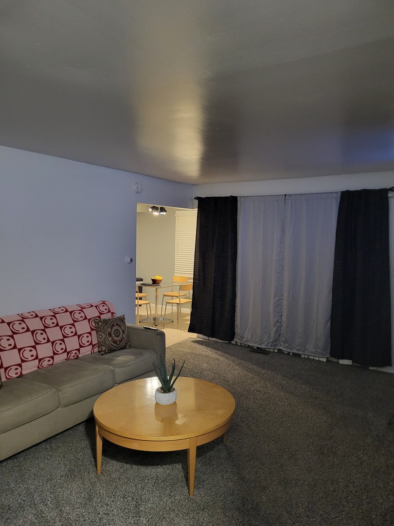 701 Spring Court, Unit 6 University Park, IL 60484 - Photo 5 of 6 a living room with furniture and a window