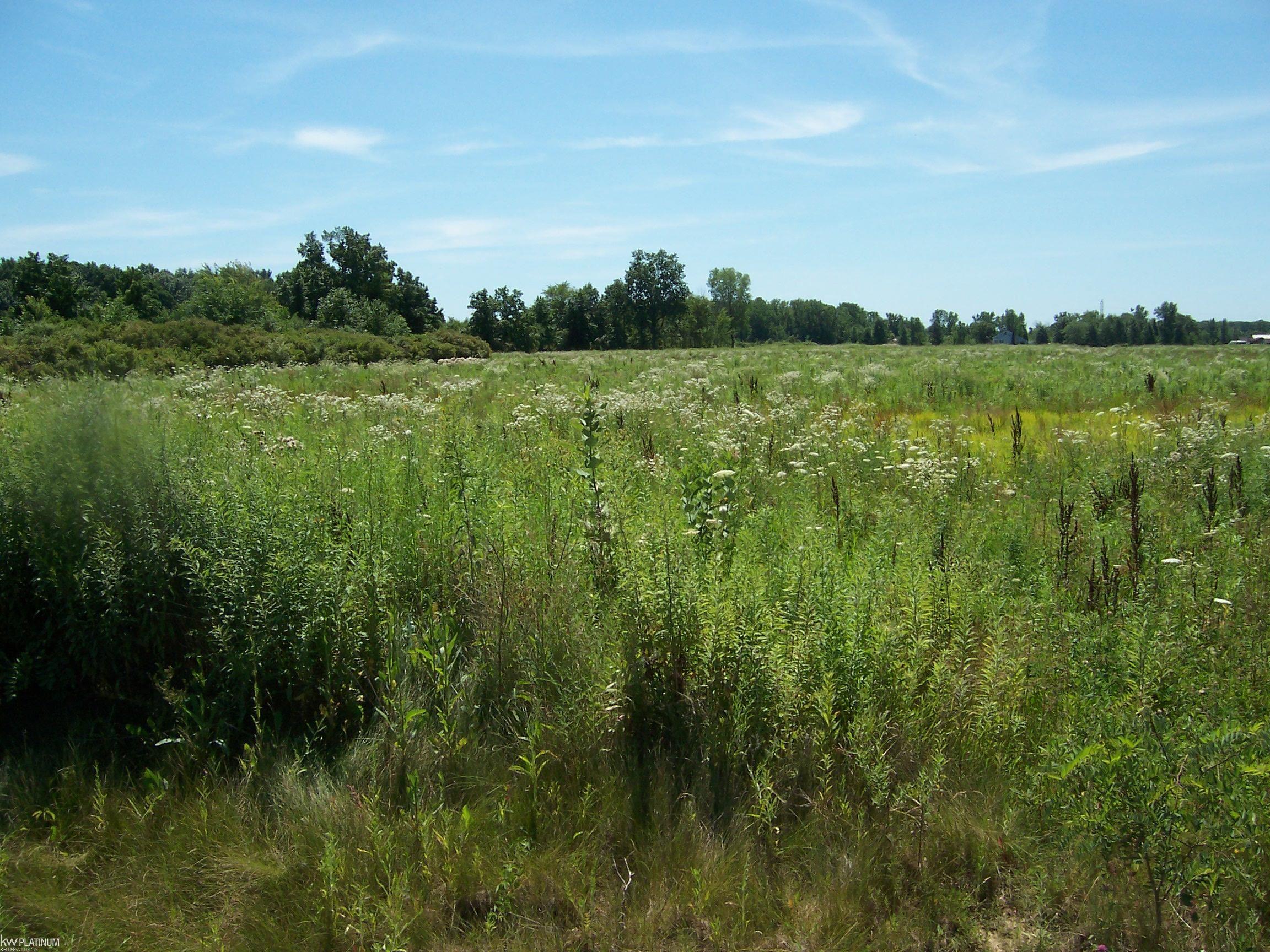 Lot B Masters Road Memphis, MI 48041 - Photo 2 of 2
