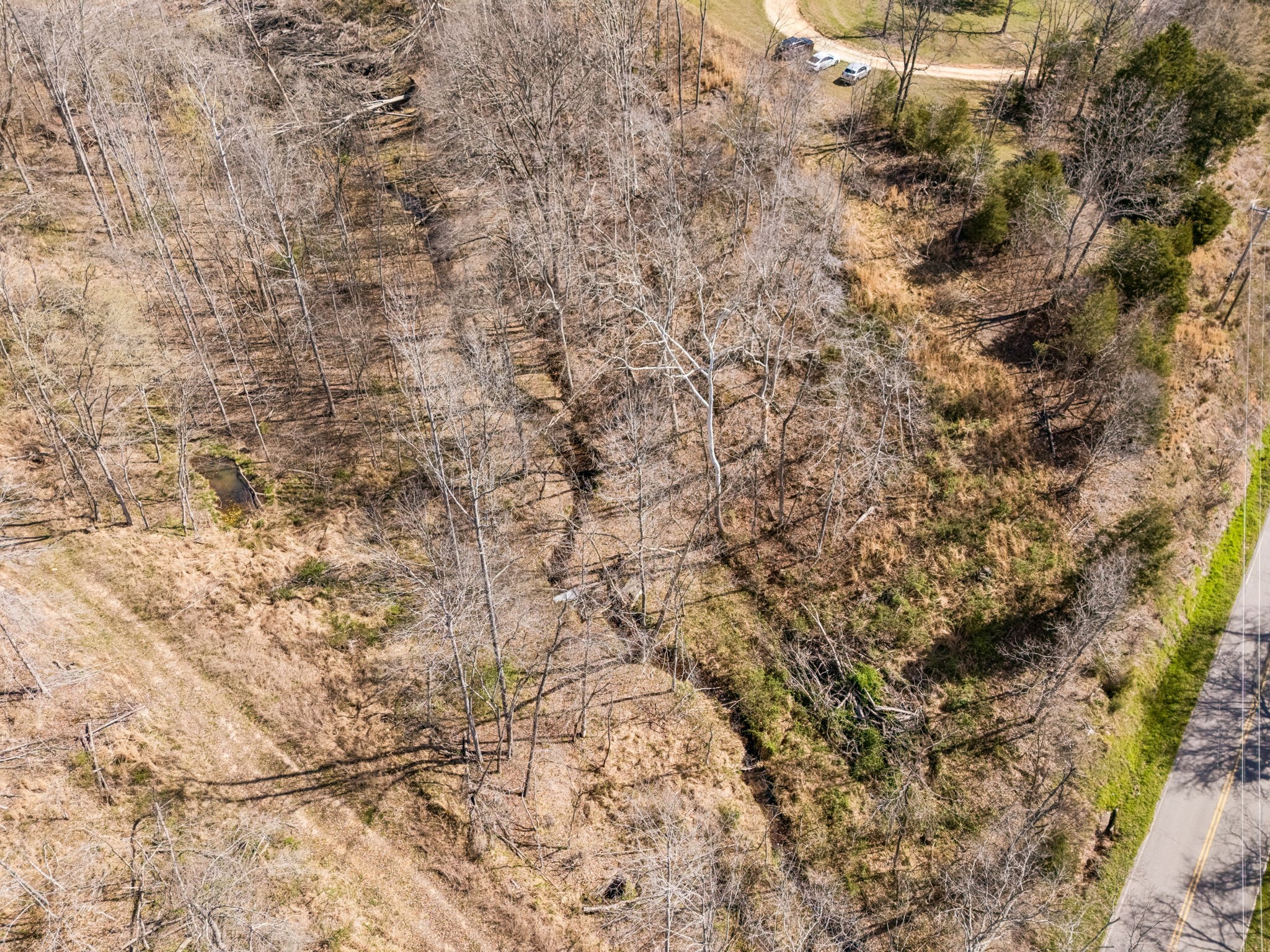 635 Cane Creek Road Hohenwald, TN 38462 - Photo 85 of 99 Gallery Image 85