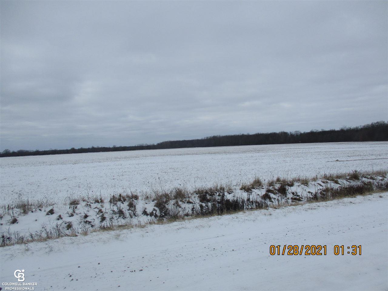 0 Place Rd Parcel E Washington, MI 48095 - Photo 2 of 5