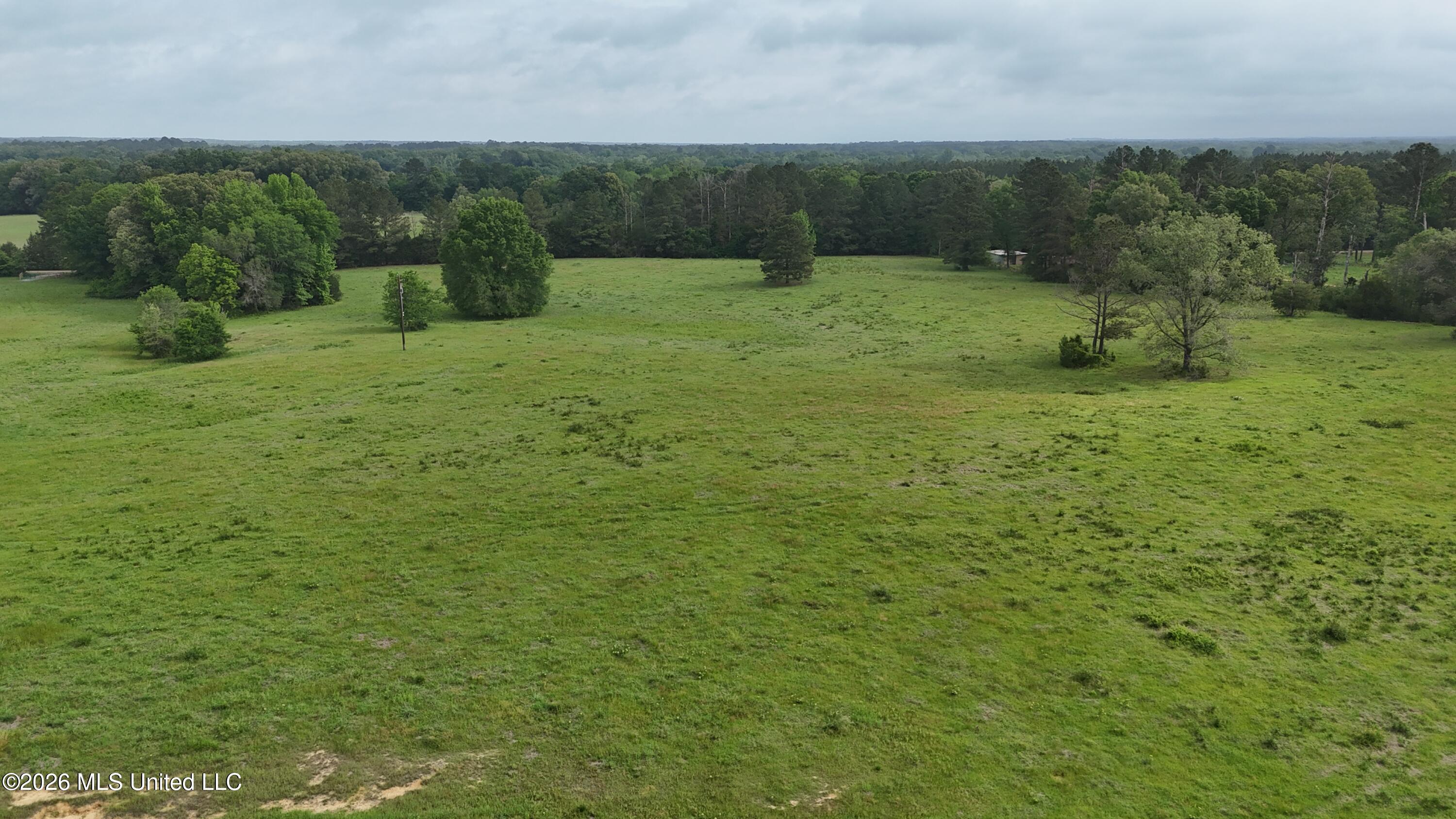 Sulphur Springs Road Canton, MS 39046 - Photo 8 of 16 jpg