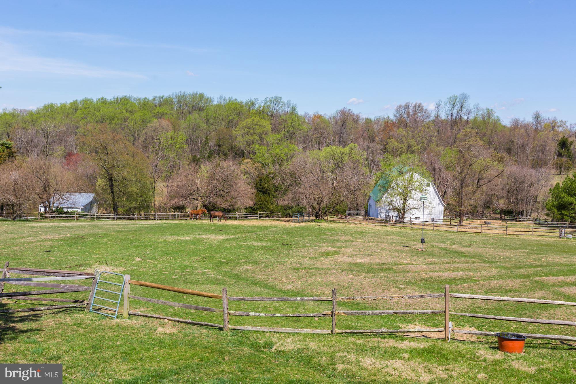 23500 Whites Ferry Road Dickerson, MD 20842 - Photo 36 of 42 Barn and pastures
