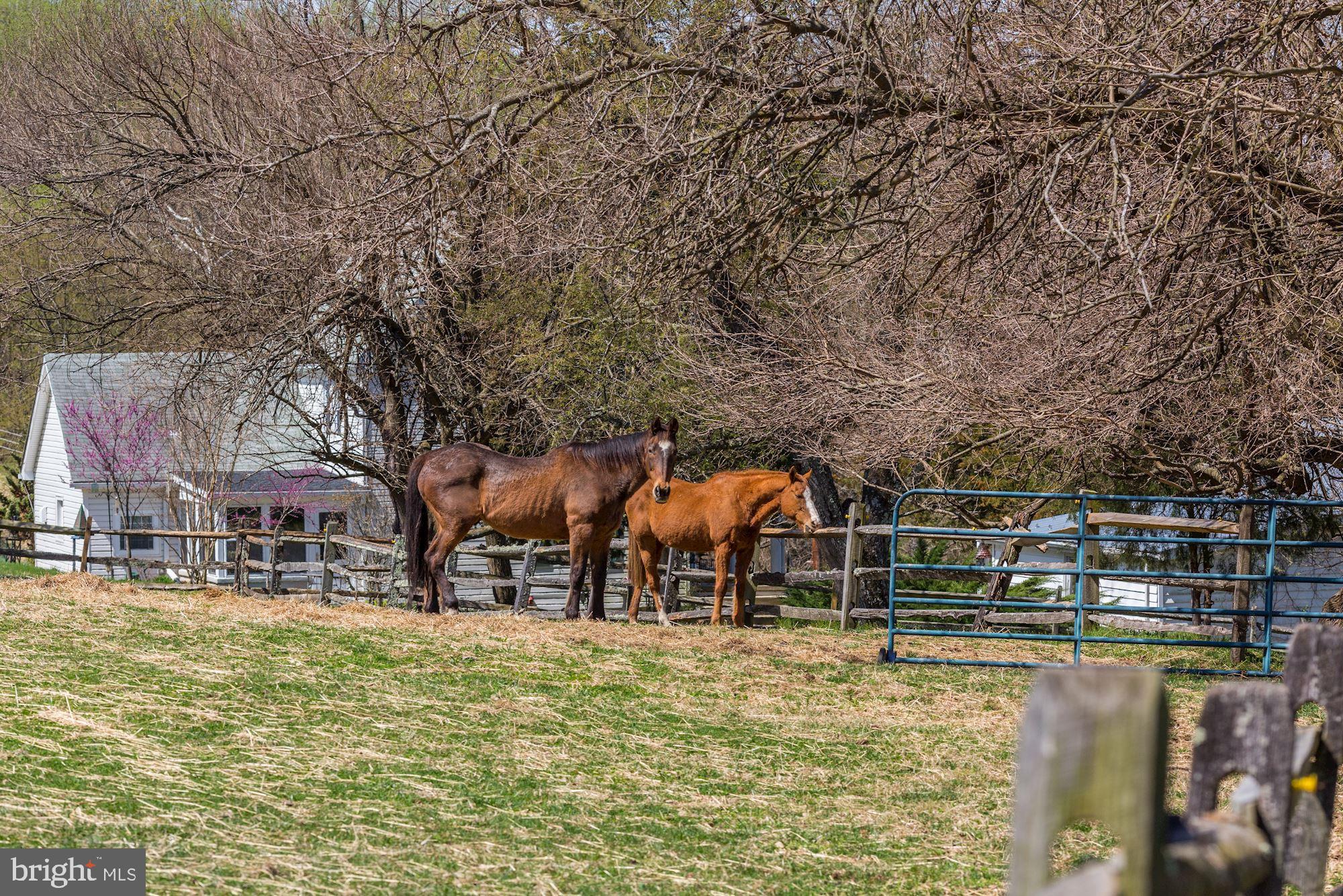 23500 Whites Ferry Road Dickerson, MD 20842 - Photo 42 of 42 Fenced pastures