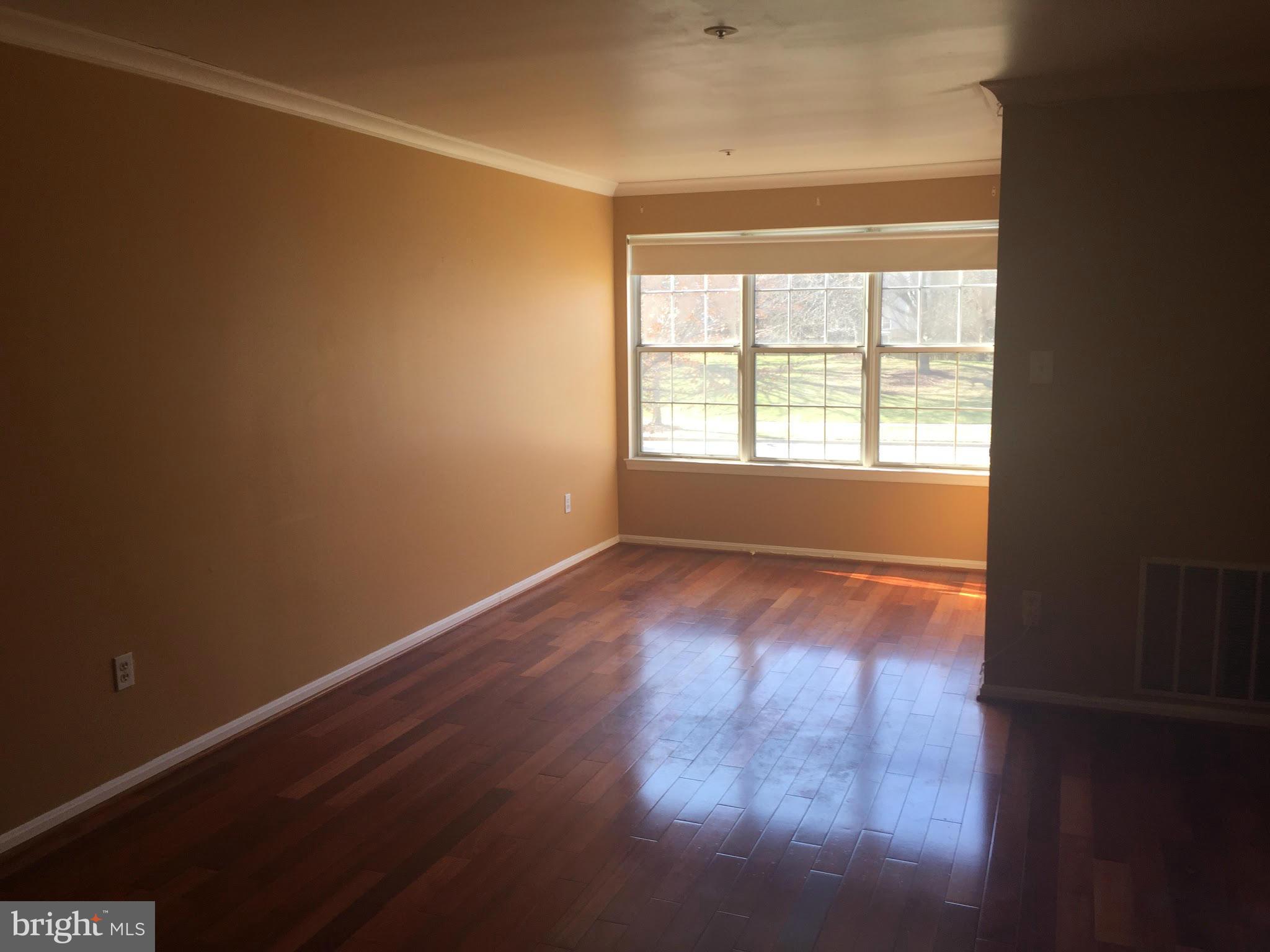 14905 Cleese Court, Unit D Silver Spring, MD 20906 - Photo 3 of 12 Living Room