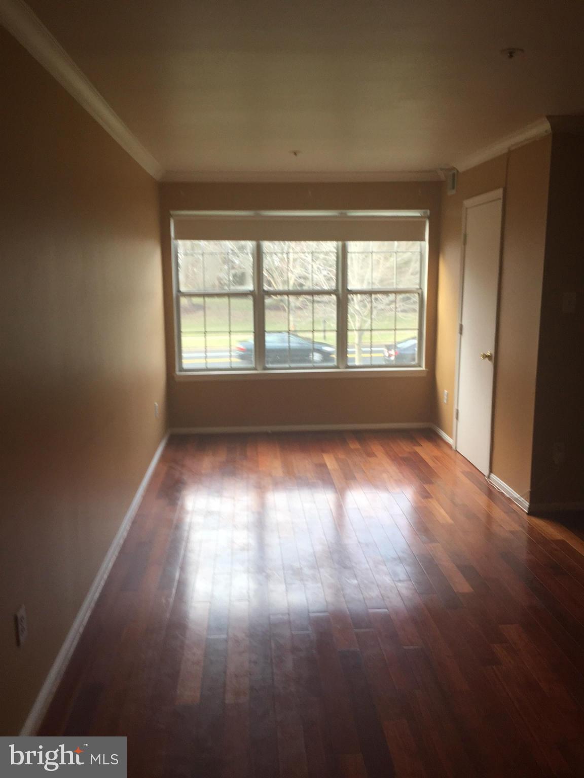 14905 Cleese Court, Unit D Silver Spring, MD 20906 - Photo 4 of 12 Living Room