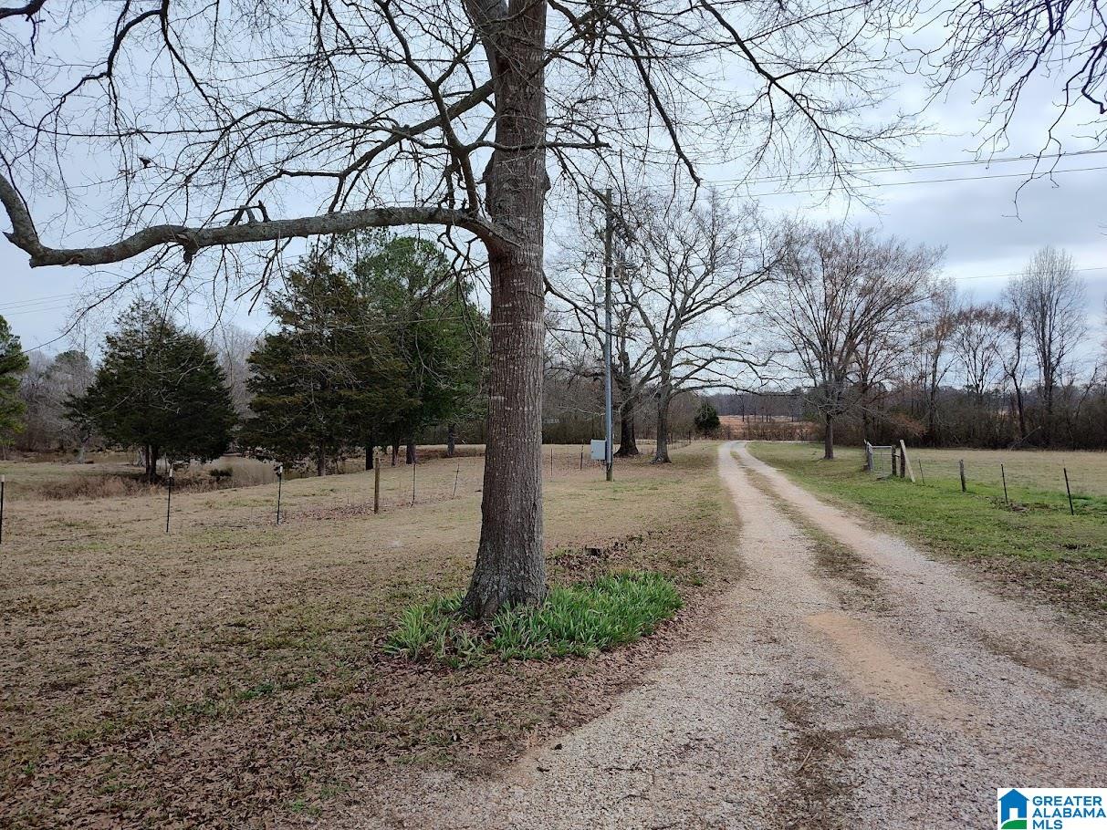 1322 Talladega Springs Road Sylacauga, AL 35151 - Photo 5 of 22