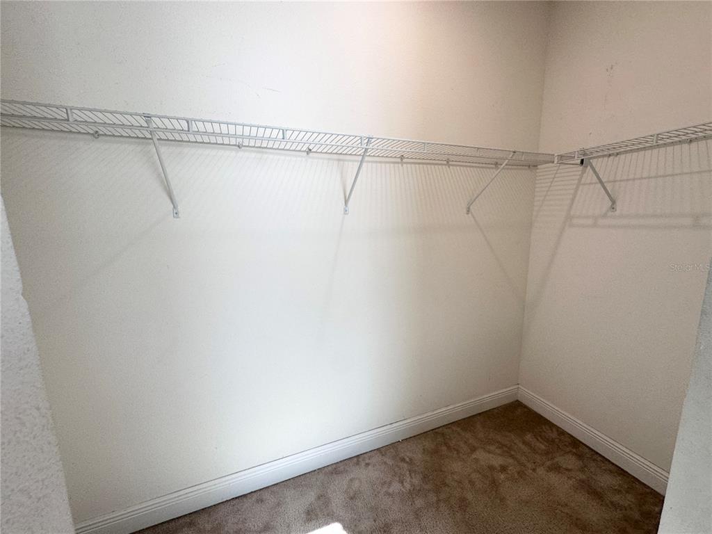 8347 Lookout Pointe Drive Windermere, FL 34786 - Photo 10 of 12