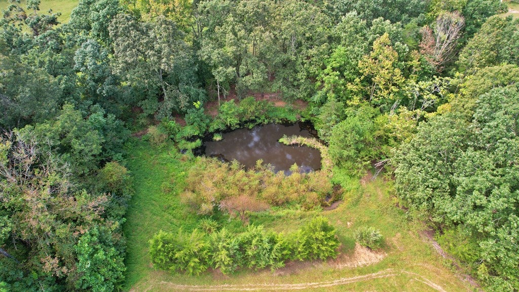 Tower Road Pamplin, VA 23958 - Photo 10 of 25 Gallery Image 10