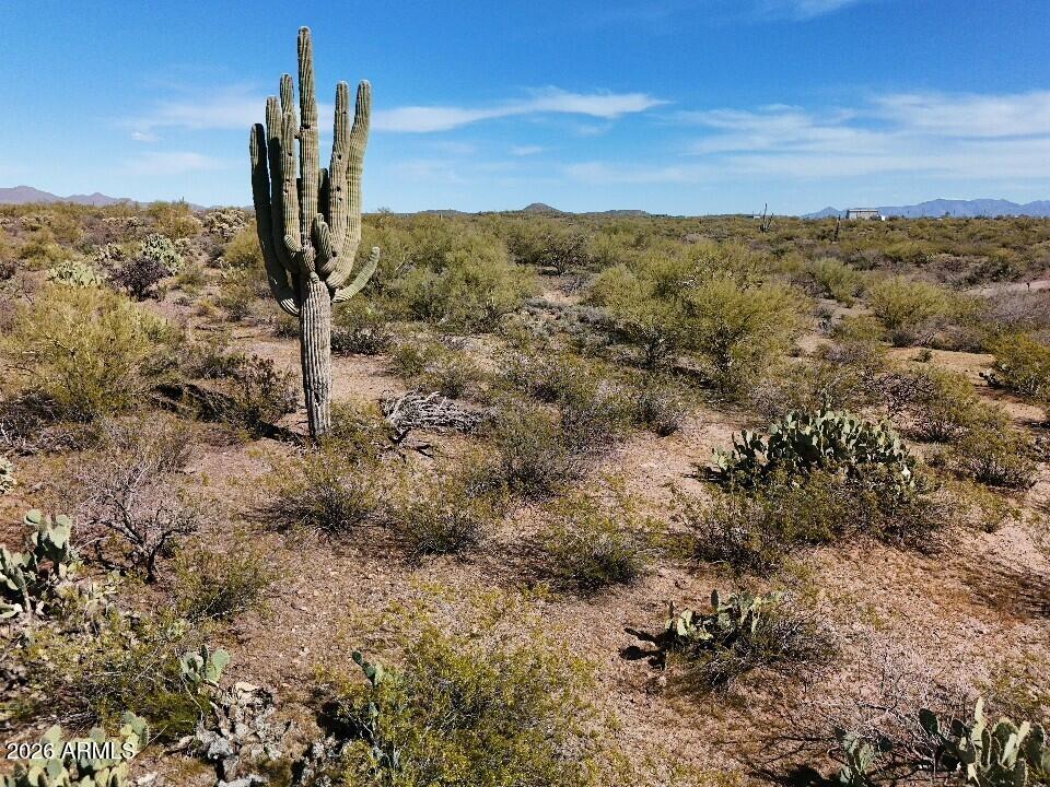 1) 69895-69d94391db073