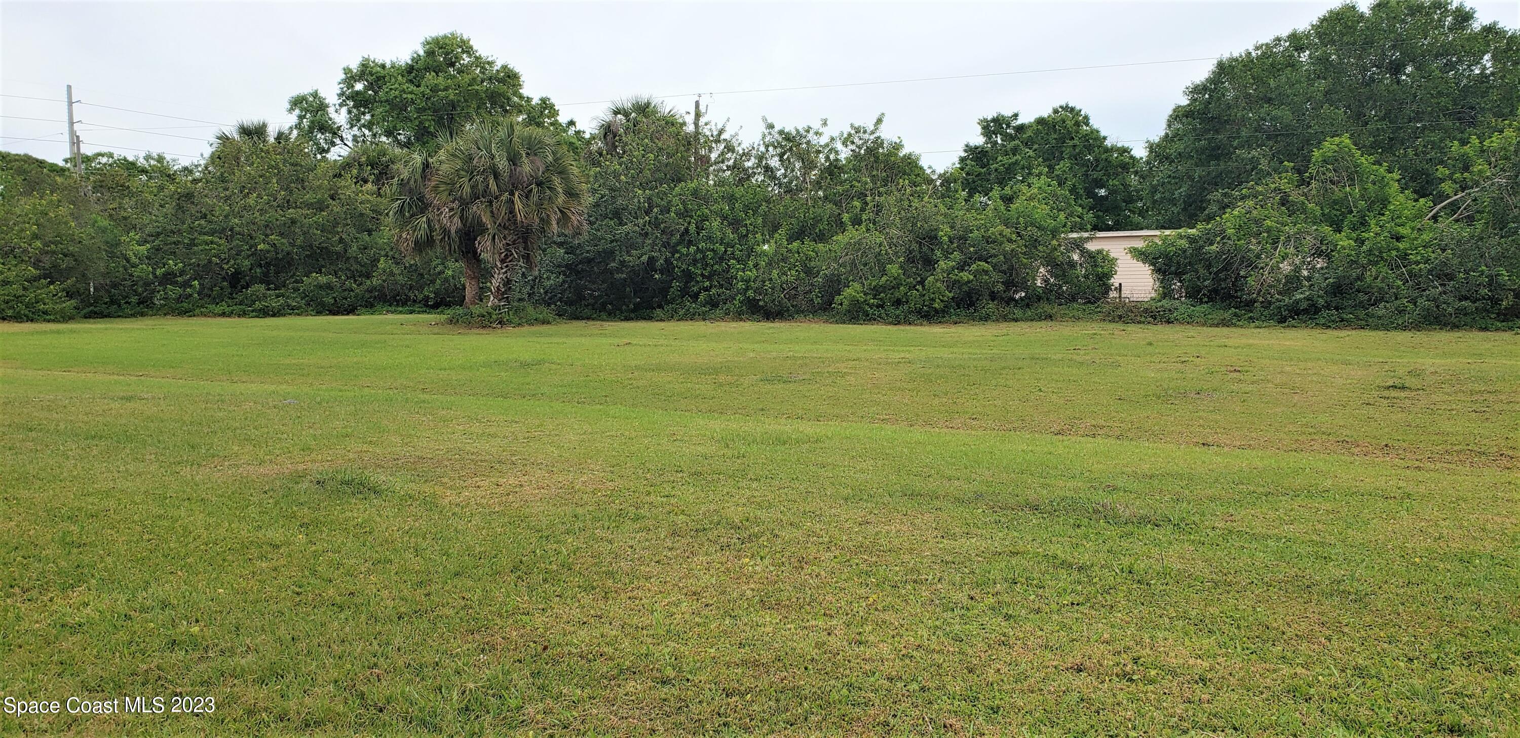 0 Wilson Lane Malabar, FL 32950 - Photo 14 of 16 a view of a field with an trees