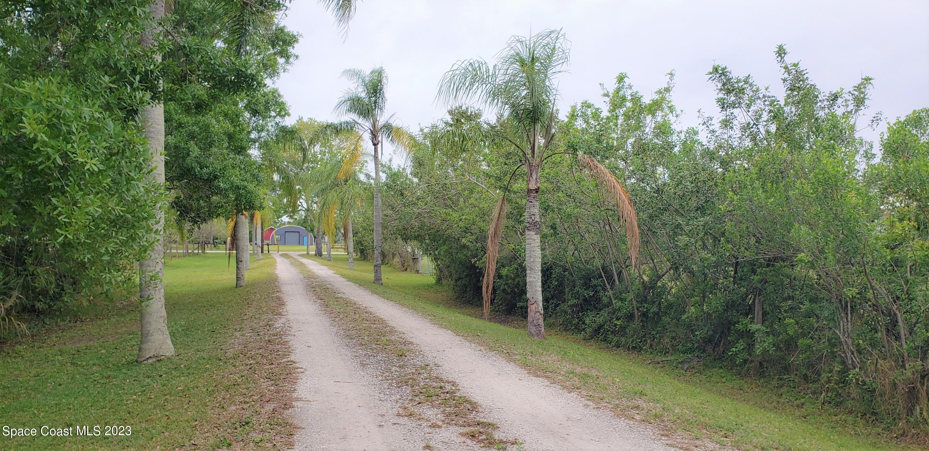 0 Wilson Lane Malabar, FL 32950 - Photo 3 of 16 a view of a street with trees in the background
