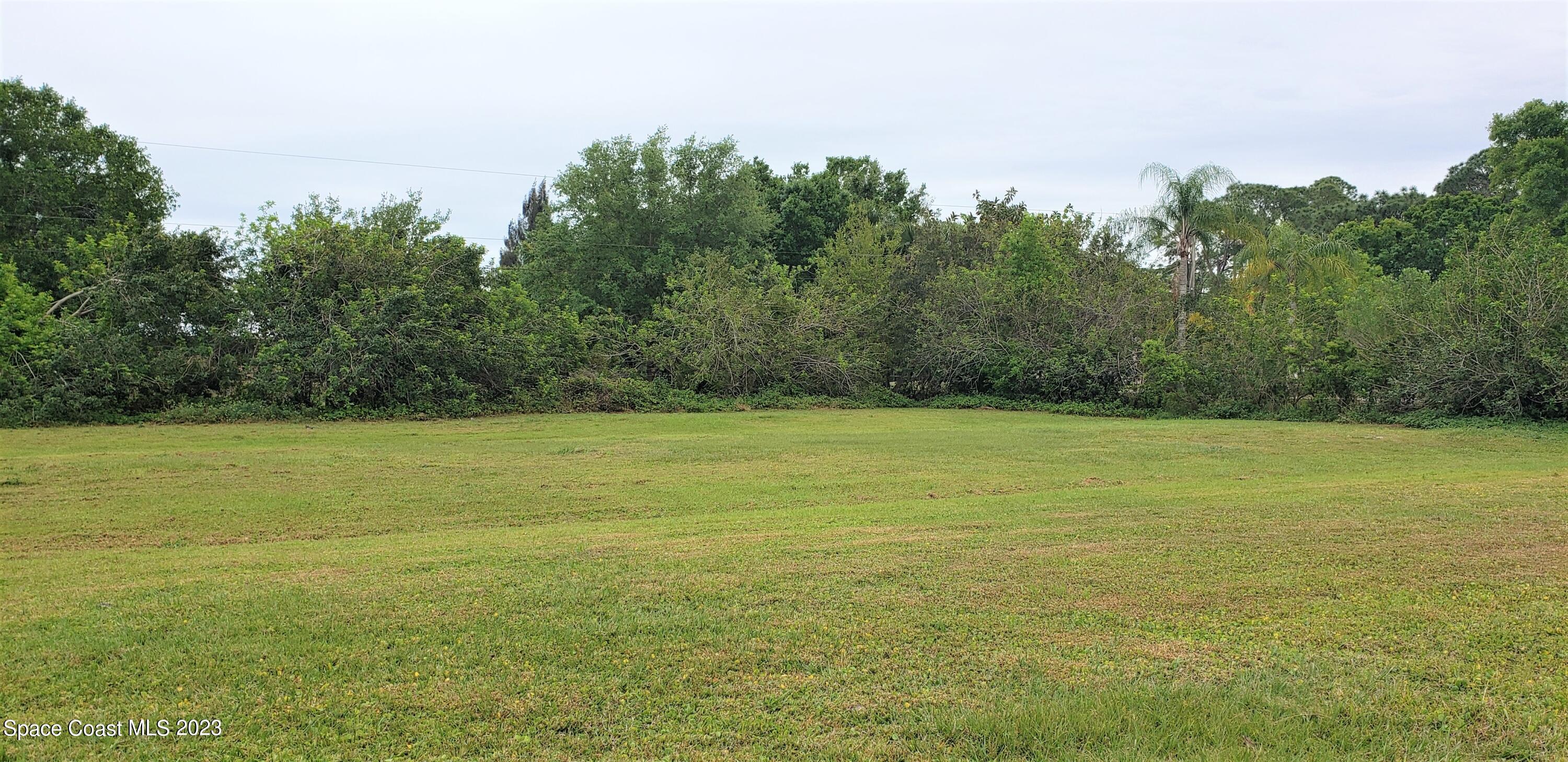 0 Wilson Lane Malabar, FL 32950 - Photo 6 of 16 a view of a yard with an trees