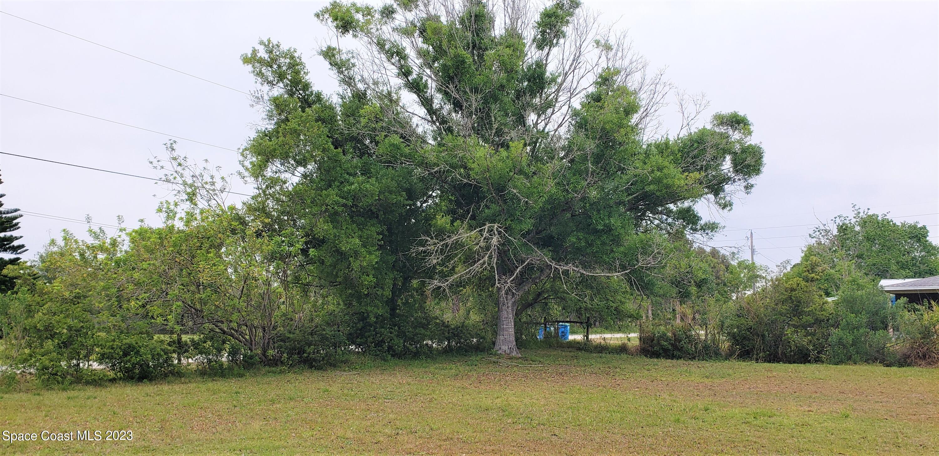 0 Wilson Lane Malabar, FL 32950 - Photo 8 of 16 a view of a yard with a tree