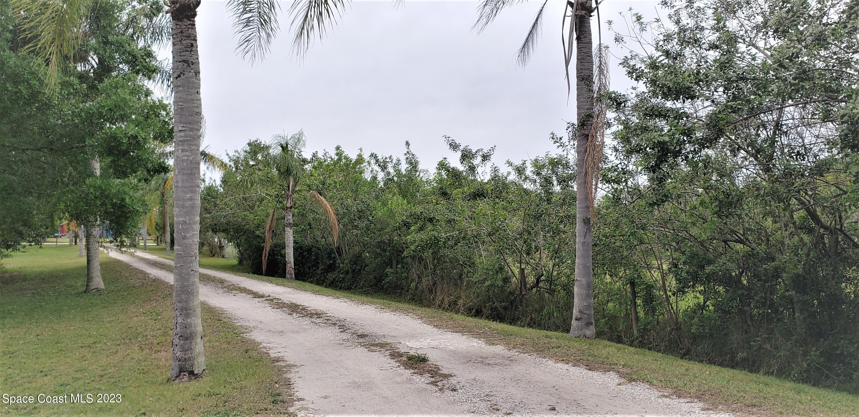 0 Wilson Lane Malabar, FL 32950 - Photo 9 of 16 a view of a park with plants and trees