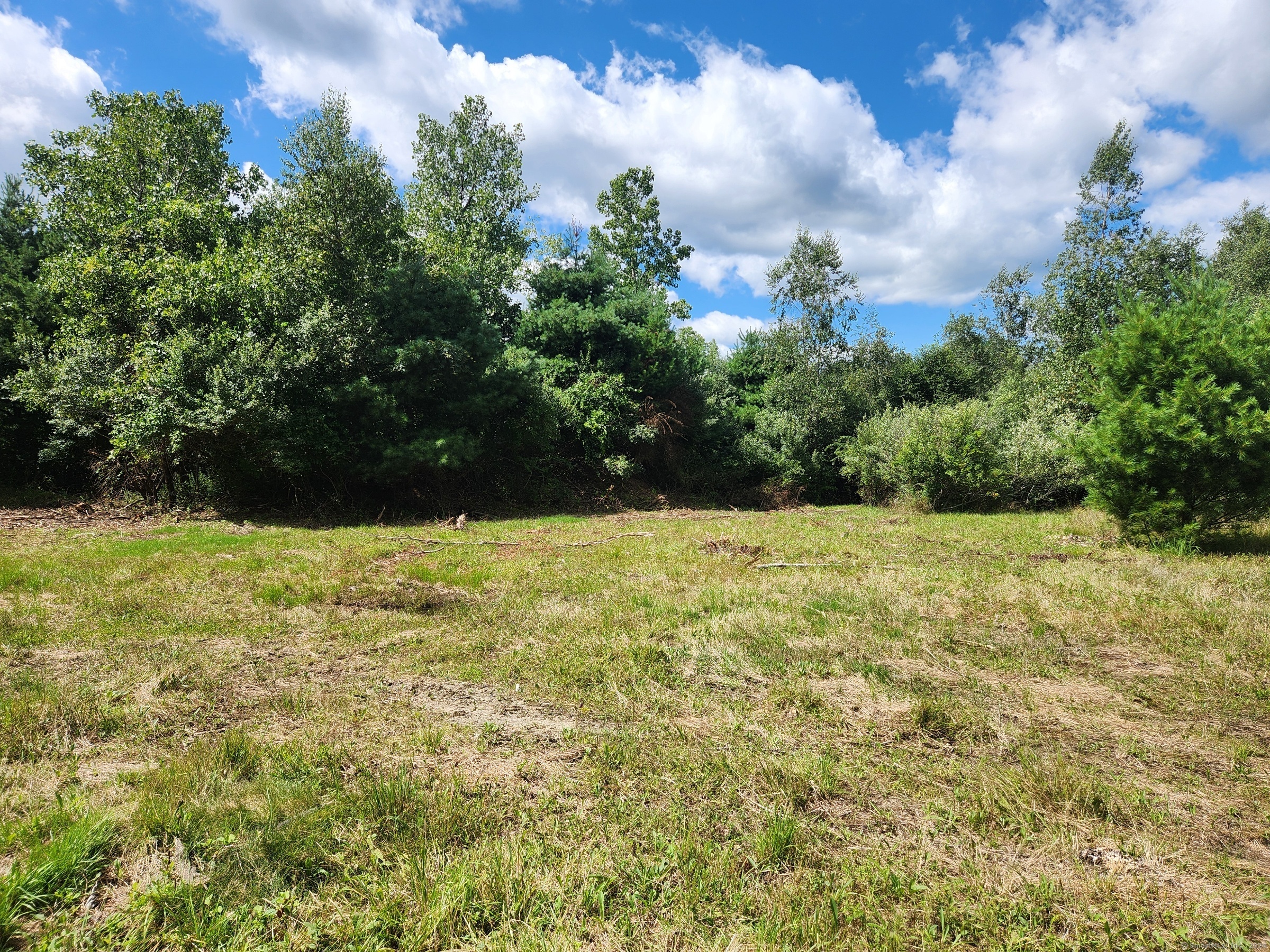 83 River Road Willington, CT 06279 - Photo 11 of 11 a view of outdoor space and yard