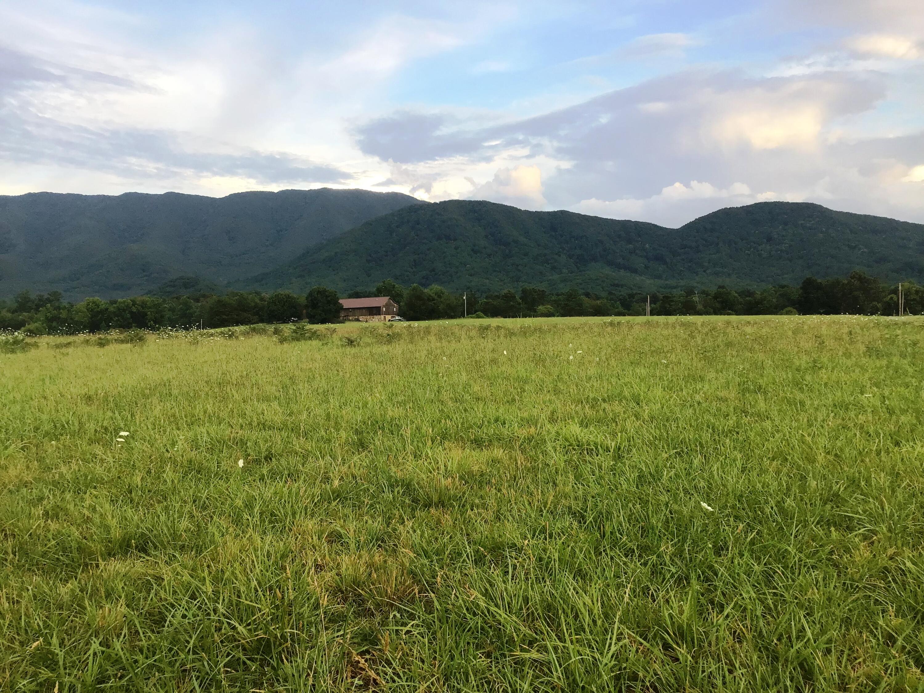 9 Woolsey College Road, Unit 9 Greeneville, TN 37743 - Photo 1 of 24 WC 14