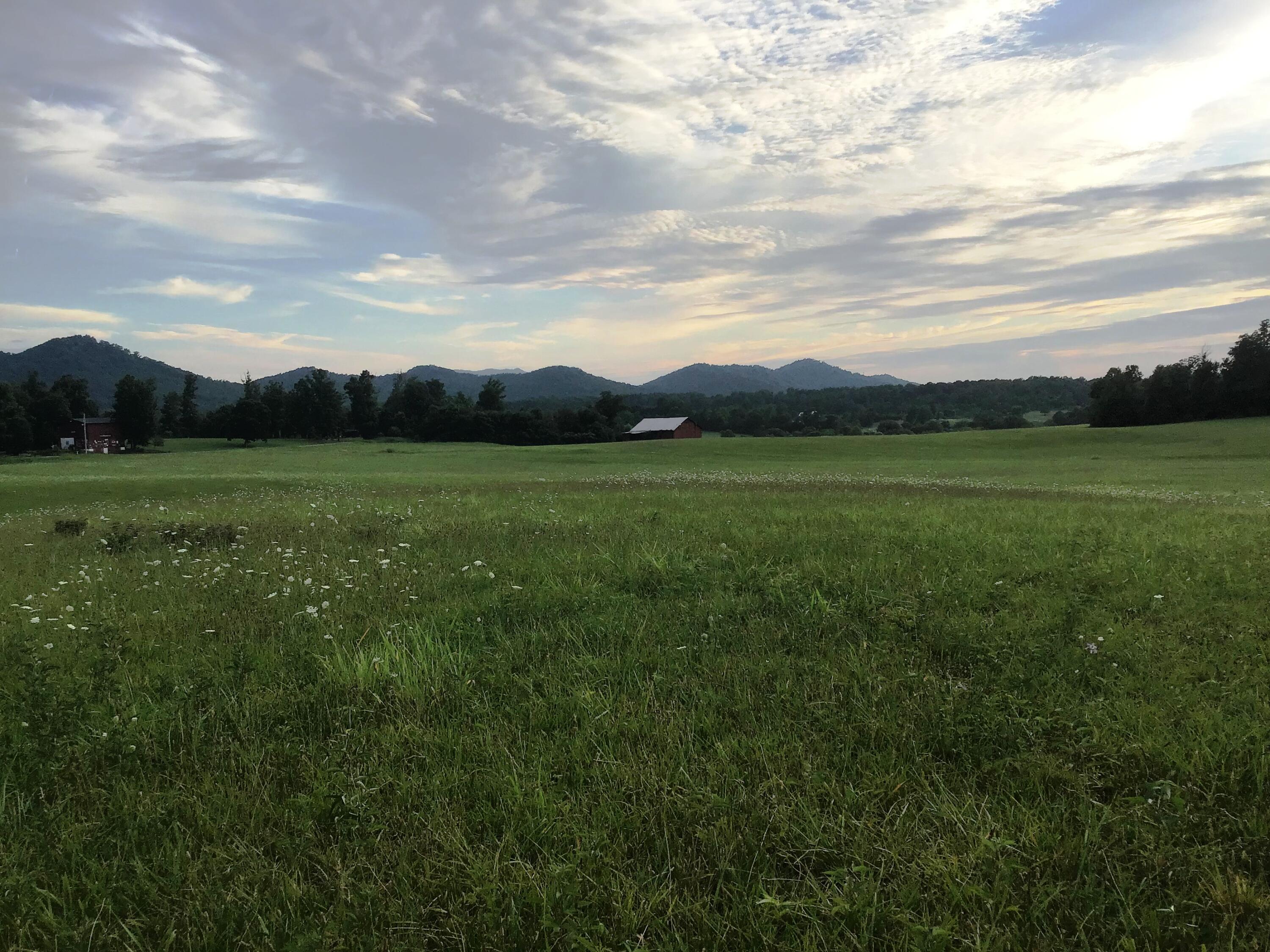 9 Woolsey College Road, Unit 9 Greeneville, TN 37743 - Photo 17 of 24 WC 20