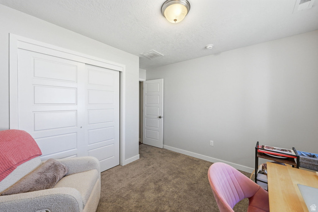 1175 Silver Hollow Road Syracuse, UT 84075 - Photo 24 of 34 Neutral-toned room featuring a large closet with panel doors, recessed baseboards, and carpeted flooring