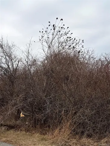 $9,900,000 | 18 Homeward Lane, Montauk, NY 11954