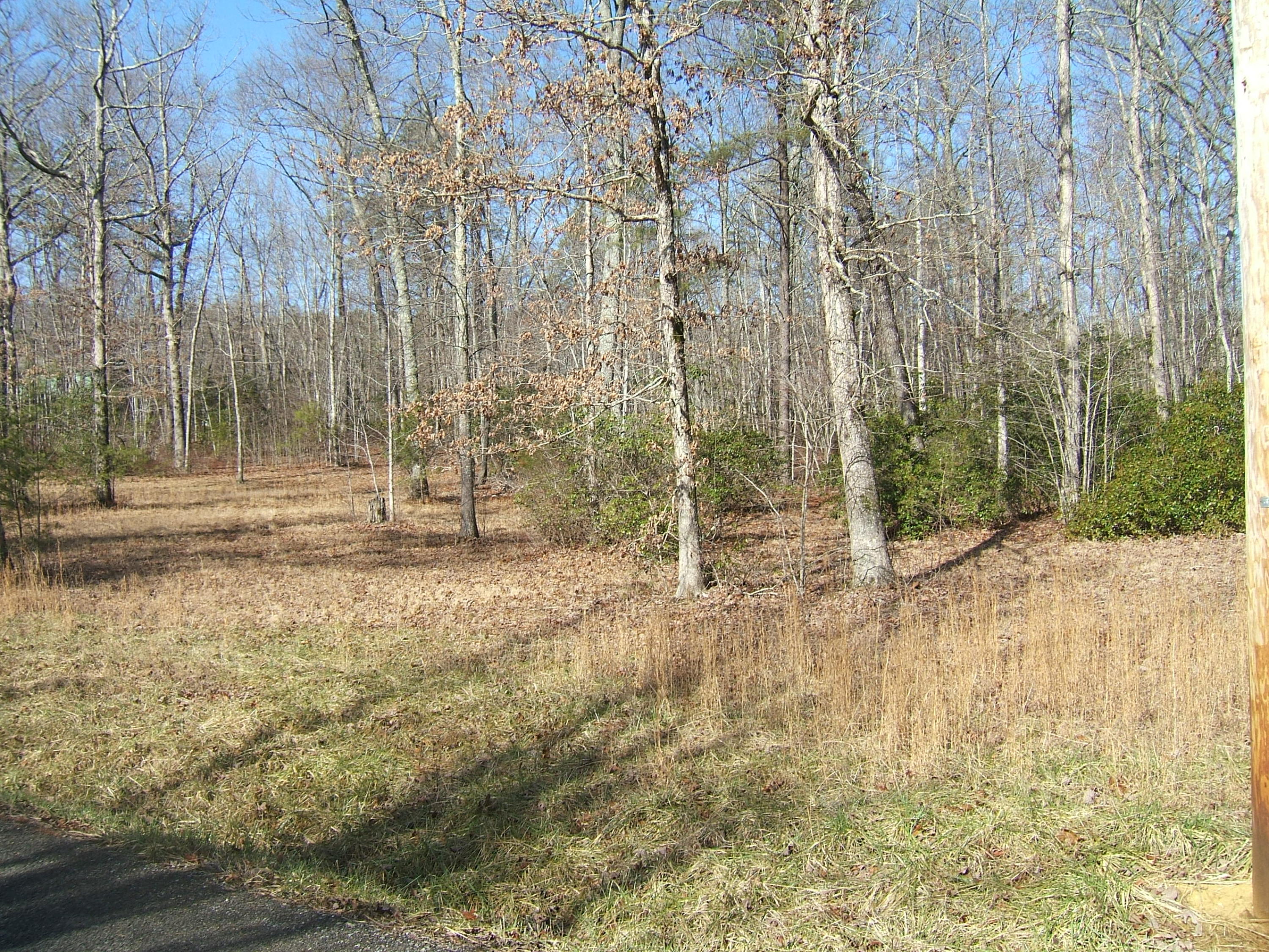 2 Meadow Lark Road, Unit E Dunlap, TN 37327 - Photo 3 of 5 Sandy Ln & Meadowlard 1-27-2016 032
