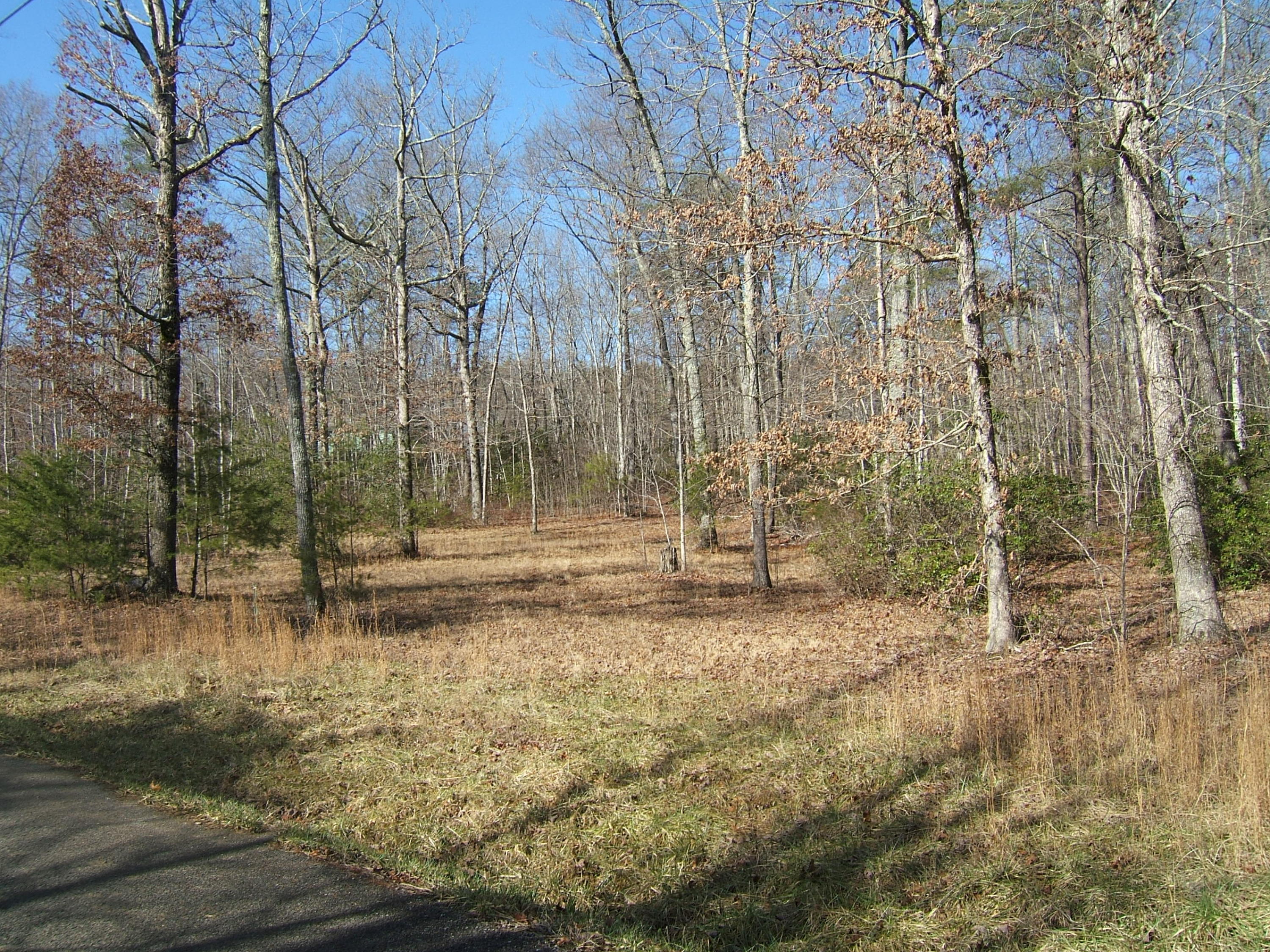 2 Meadow Lark Road, Unit E Dunlap, TN 37327 - Photo 5 of 5 Sandy Ln & Meadowlard 1-27-2016 034