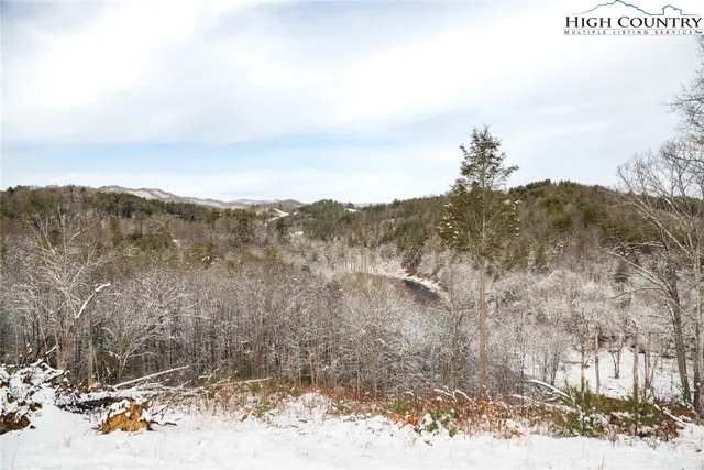 $2,960,000 | 53 Autumn Leaf Way, Crumpler, NC 28617