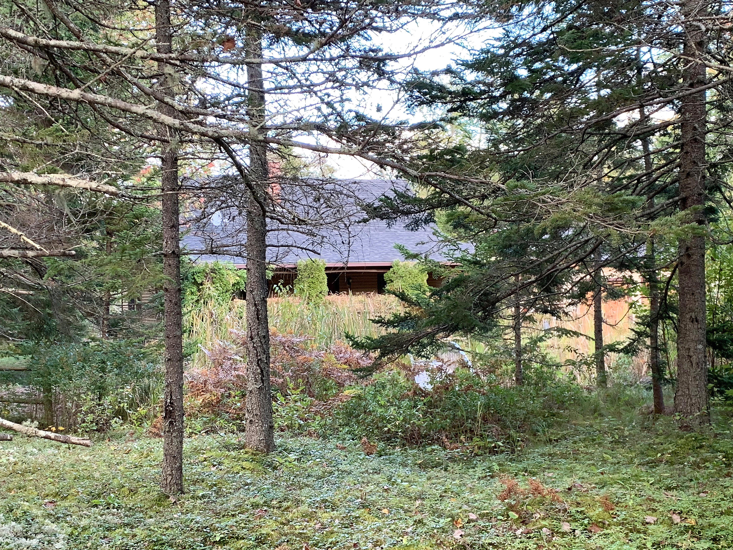 119 Kelleytown Road Bernard, ME 04612 - Photo 18 of 50 119 Kelleytown_023