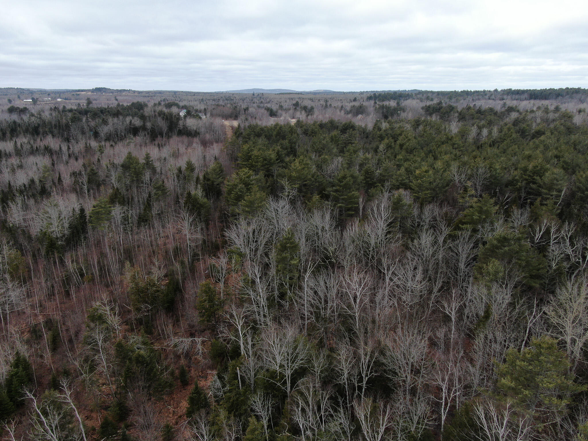 DJI_0207